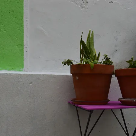 Terrace * Lisboa