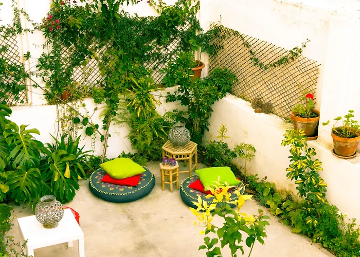 Auberge de jeunesse Terrace Lisboa