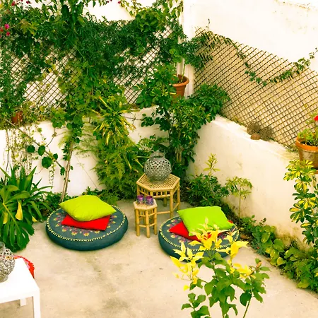 Hostel Terrace Lisboa