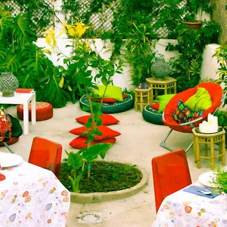 Hostal Terrace
